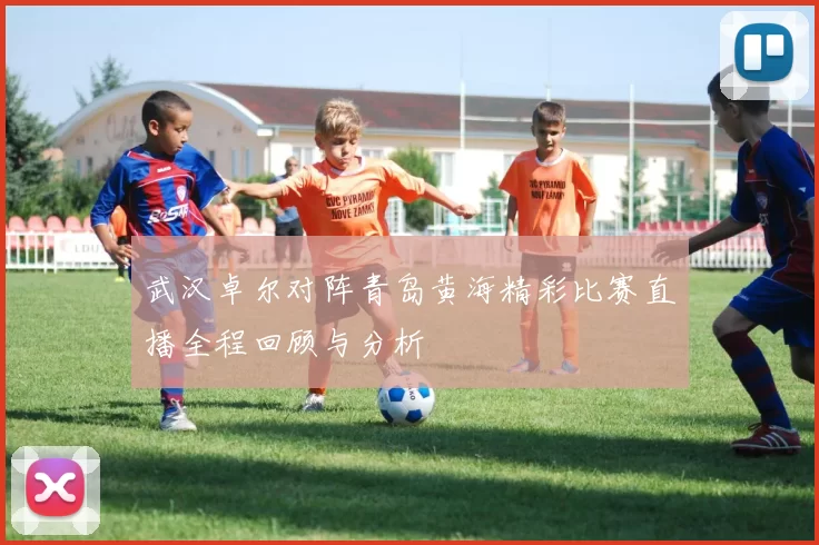 武汉卓尔对阵青岛黄海精彩比赛直播全程回顾与分析