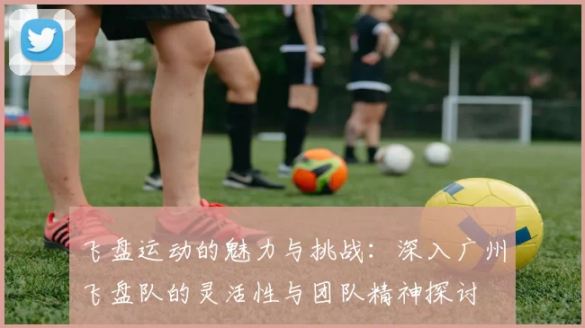 飞盘运动的魅力与挑战：深入广州飞盘队的灵活性与团队精神探讨