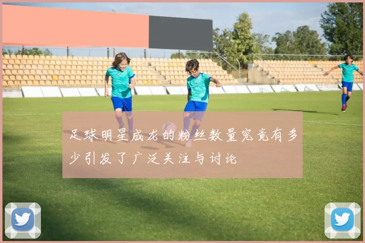 足球明星成龙的粉丝数量究竟有多少引发了广泛关注与讨论