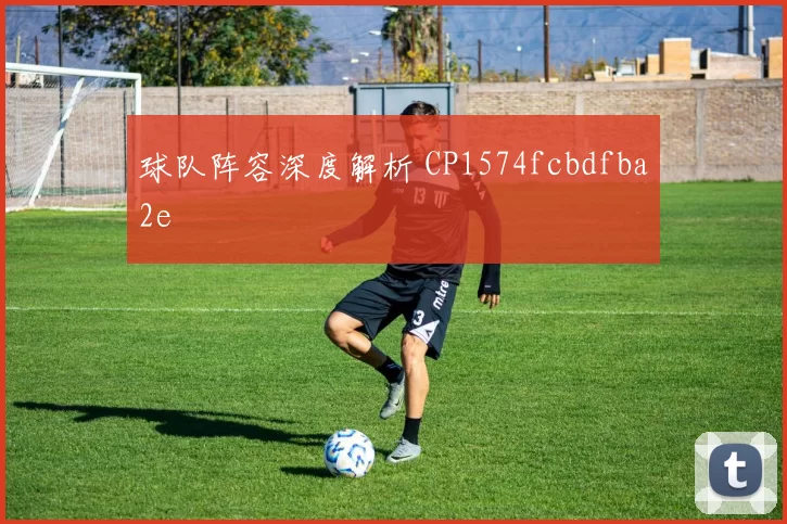 球队阵容深度解析 CP1574fcbdfba2e